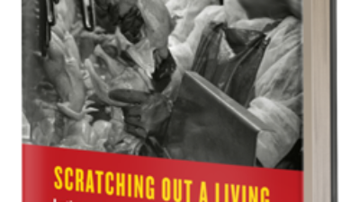 Scratching Out a Living: Latinos, Race, and Work in the Deep South